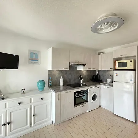 T2 Avec Loggia Vitrée, Terrasse, Parking à - Fr-1-338-589 Sète